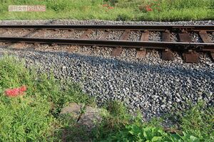 山添議員が横断したと思われる簡易踏切（秩父鉄道敷地外から撮影）