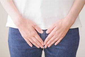 写真はイメージです