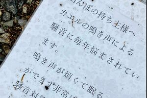 話題になっているカエルの鳴き声に対しての苦情のビラ（提供：いもっちさん）