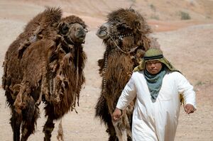 『VIVANT』に出演中の富栄ドラム（写真提供／TBS）