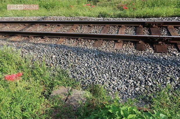 山添議員が横断したと思われる簡易踏切（秩父鉄道敷地外から撮影）