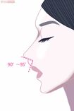 「鼻唇角（びしんかく）」は鼻の先端から付け根までの線と、鼻の付け根から上唇を結んだ線の交わる角度のこと。90度くらいが美しいとされる　イラスト／コバノン