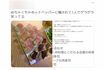 炎上するきっかけとなったツイート。写真とはあまりにもかけ離れた肉寿司だった