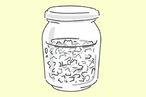 しょうがオイル