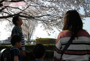 福島を離れ茨城県で暮らす大沼さん一家。震災の年に生まれた長男は、この4月から小学校に入学した　撮影／渋井 哲也