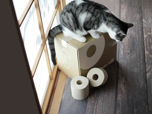 『バンブーロール』のパッケージはプラスチックフリーのリサイクル段ボール。芯とともにリサイクル可