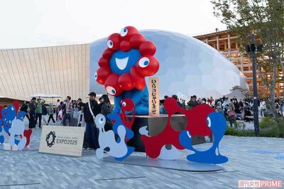 《大阪・関西万博》今度はコンビニ内にも「ユスリカ」大量発生で悲鳴、府知事が『アース製薬』に直接SOS