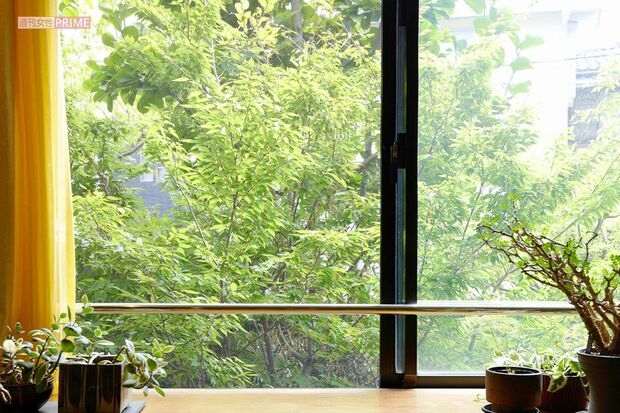 撮影／朝井まかてさん