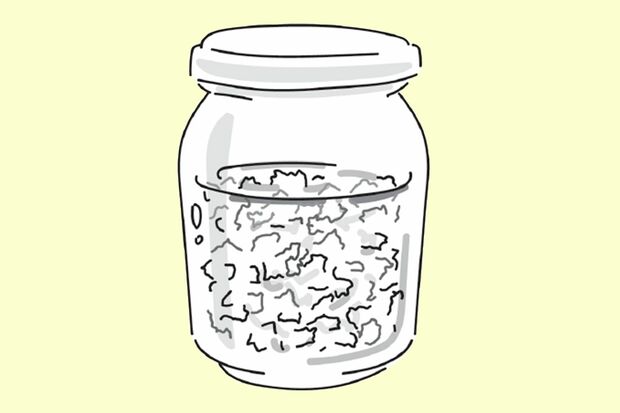 しょうがオイル