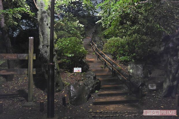 この階段を下っているときに声が聞こえたのだが……