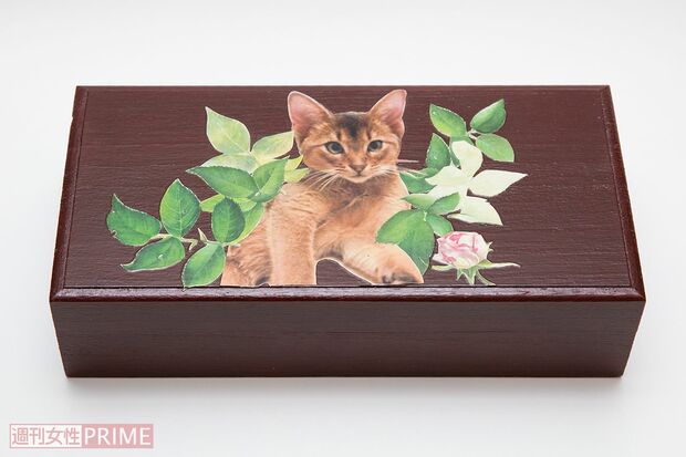 姿月さんのご両親が、アビィの子猫時代の写真を見てデコパージュしてくださった宝箱