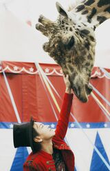 2017年の佐藤健カレンダーより