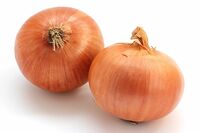 混ぜるだけ『玉ねぎ麹』のスゴイ効果、全身毒出し！生活習慣病の強い味方