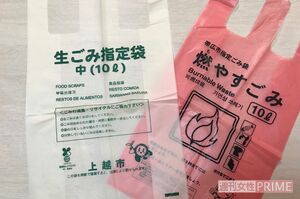 工夫次第で10L袋にも十分収まるように