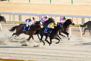 スマホ使用で処分が相次ぐ競馬界（写真はイメージです）