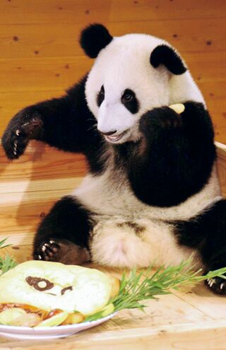 幸浜♂　写真／共同通信社