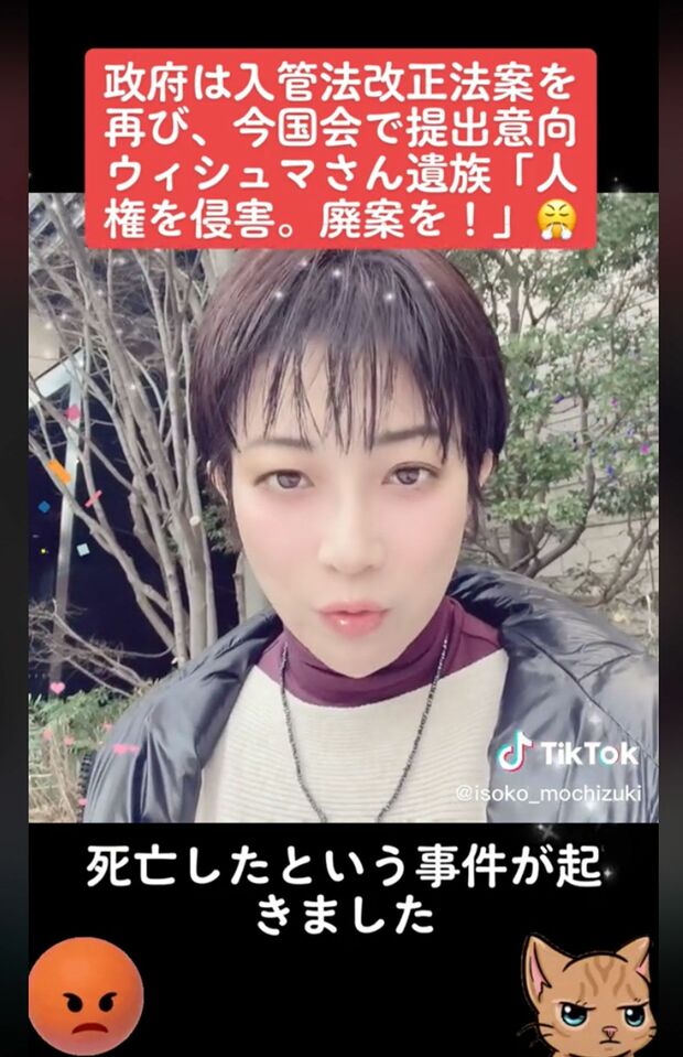 望月衣塑子記者がTikTokに投稿したキラキラ加工された動画