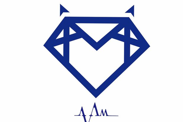 ダイヤモンドをモチーフにしたAVAMのロゴも物議