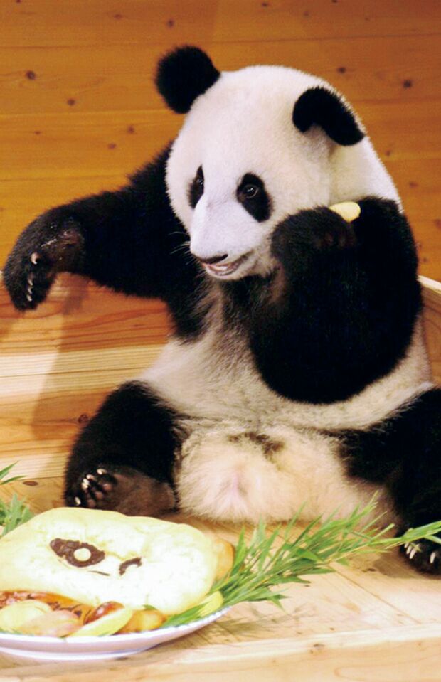 幸浜♂　写真／共同通信社