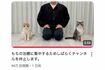 治療に集中するためしばらくチャンネルを休止することを報告した『もちまる日記』(YouTubeチャンネルより)