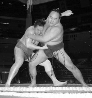 魁清水と対戦する北斗龍（写真：産経ビジュアル）