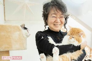 NPO法人『東京キャットガーディアン』山本葉子さん