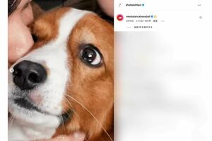 4度目のMVP受賞で真美子さん、デコピンらとの写真をアップした大谷翔平（本人のインスタグラムより）