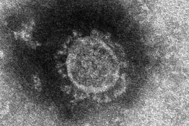 ※写真はイメージです