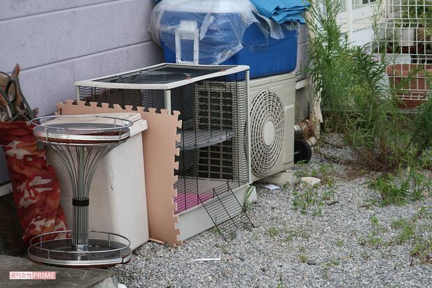 イグアナ“フアナちゃん”が飼われていたゲージ