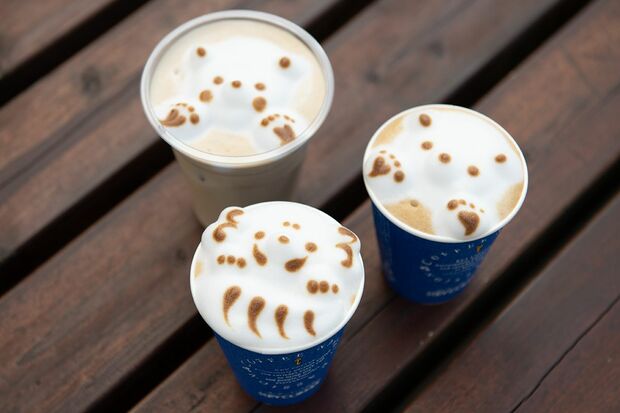 動物をかたどったラテアートも人気