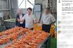 カニもおねだり(斎藤元彦兵庫県知事のインスタグラムより)