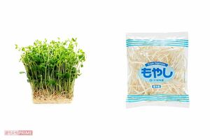 豆苗(1袋)約100円 もやし(1袋)約30円