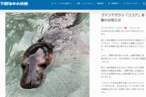 1月3日に下田水中水族館のHPにて「ココア」の死亡が報告された