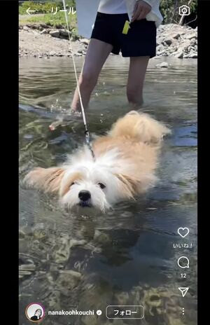 ワンちゃんを散歩させる大河内。太もももかなり細い（公式Instagramより）