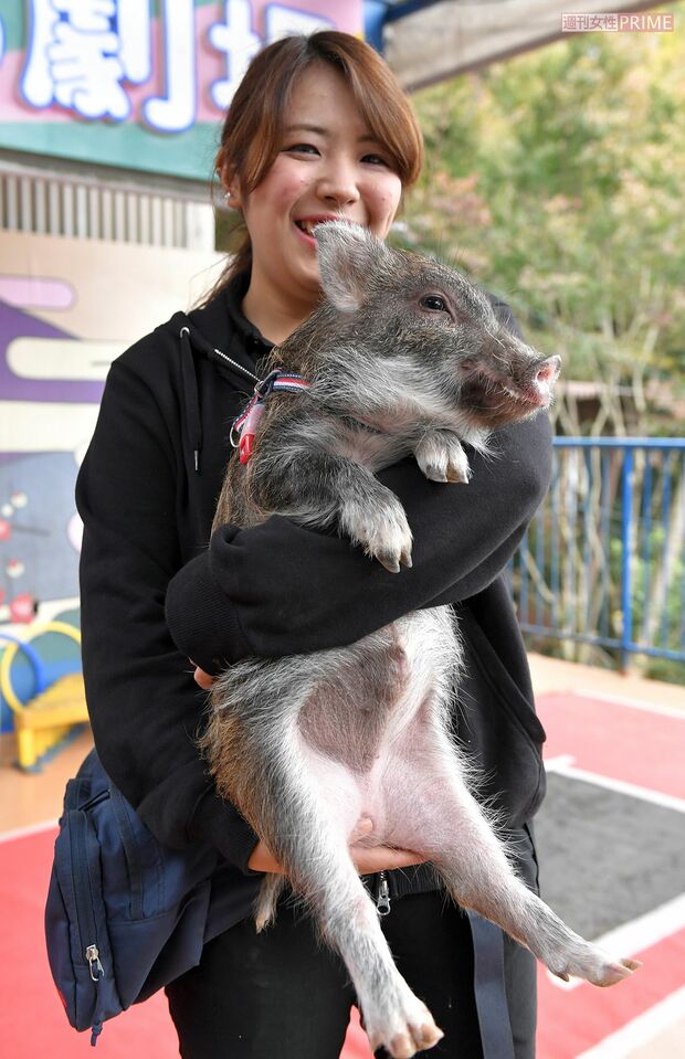 うり坊との記念撮影はインスタ映え！?　抱っこしてもおとなしく、そして暖か～い　撮影／渡邉智裕