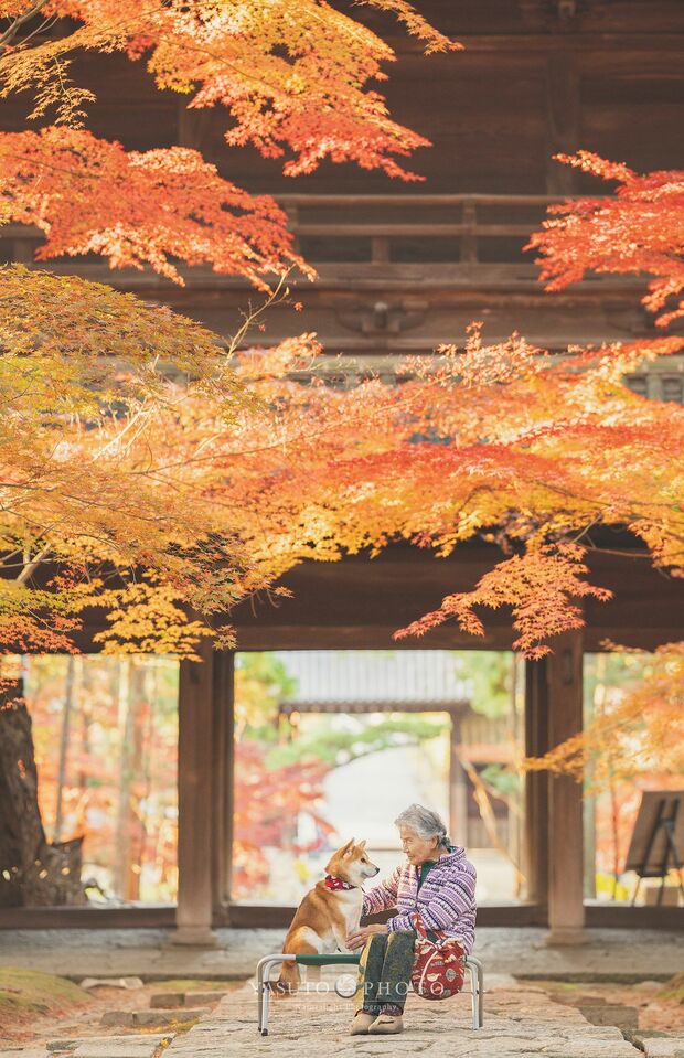 岡山県曹源寺の、真っ赤に染まった紅葉の下で　提供：YASUTO