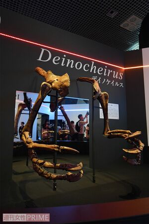 「恐ろしい手」と名づけられた、大迫力の前あしを持つデイノケイルス。“謎の恐竜”とされたが、全身骨格を世界で初めて復元