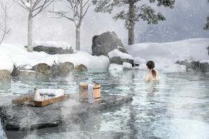 環境省の「10年後の混浴プロジェクト」は誰でも楽しめる混浴の実現を目指し、次世代に混浴を継承するための試みとして行われている