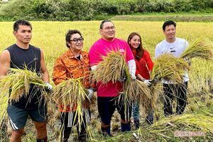 コロッケさん、豊昇龍関らと稲刈りイベントに参加した際の写真