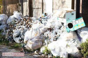 足利市の自宅の周りはおびただしい数の猫缶やゴミがあふれており、ハエも飛んでいた