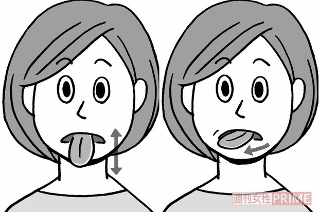 イラスト／上田英津子　