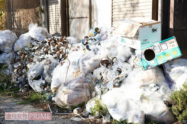 足利市の自宅の周りはおびただしい数の猫缶やゴミがあふれており、ハエも飛んでいた