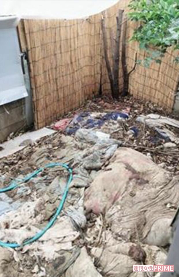 県が調査に入る前の保護施設内。糞は上に布団を被せて隠し、そこにまた排せつが重なり、ミルフィーユ状になって悪臭を放っていた（Ｅｖａ提供）