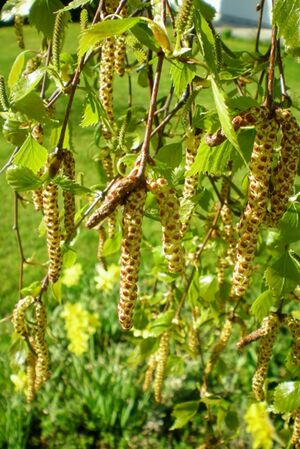 ※写真はイメージです