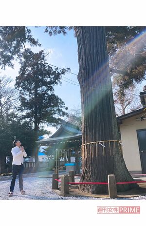 熊野神社＠埼玉県入間市
（C）YUTA SASAKI