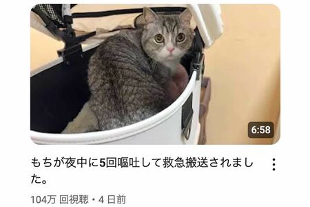 夜中に5回嘔吐して救急搬送された「もちまる」(YouTubeチャンネル『もちまる日記』より)