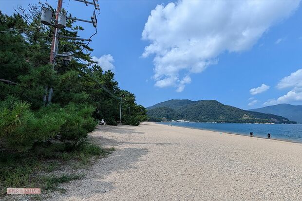 日本三大松原のひとつでもある福井県敦賀にある気比の松原　撮影／編集部