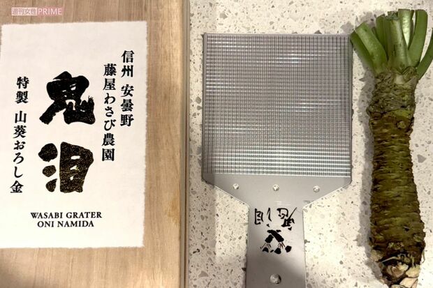 撮影/加藤綾菜