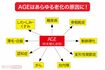 AGEはあらゆる老化の原因に!
