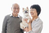 【獣医師解説】愛犬・愛猫の“終生飼育”を全うする「ペット後見」の準備、飼育費用の残し方から見守り体制…